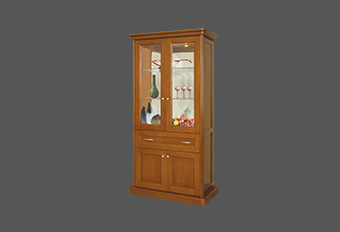 Glass Case 06