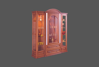 Glass Case 01